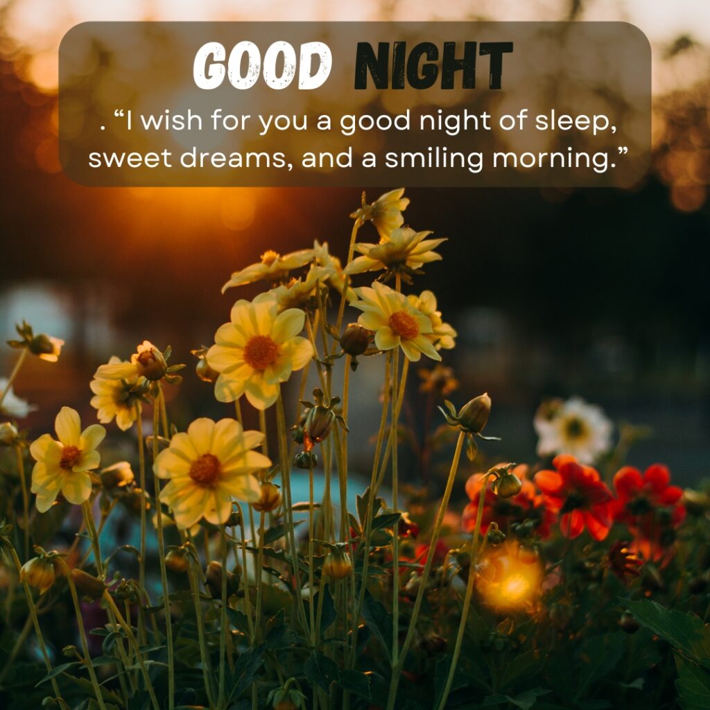 20+ Beautiful Good Night images with Quotes For WhatsApp