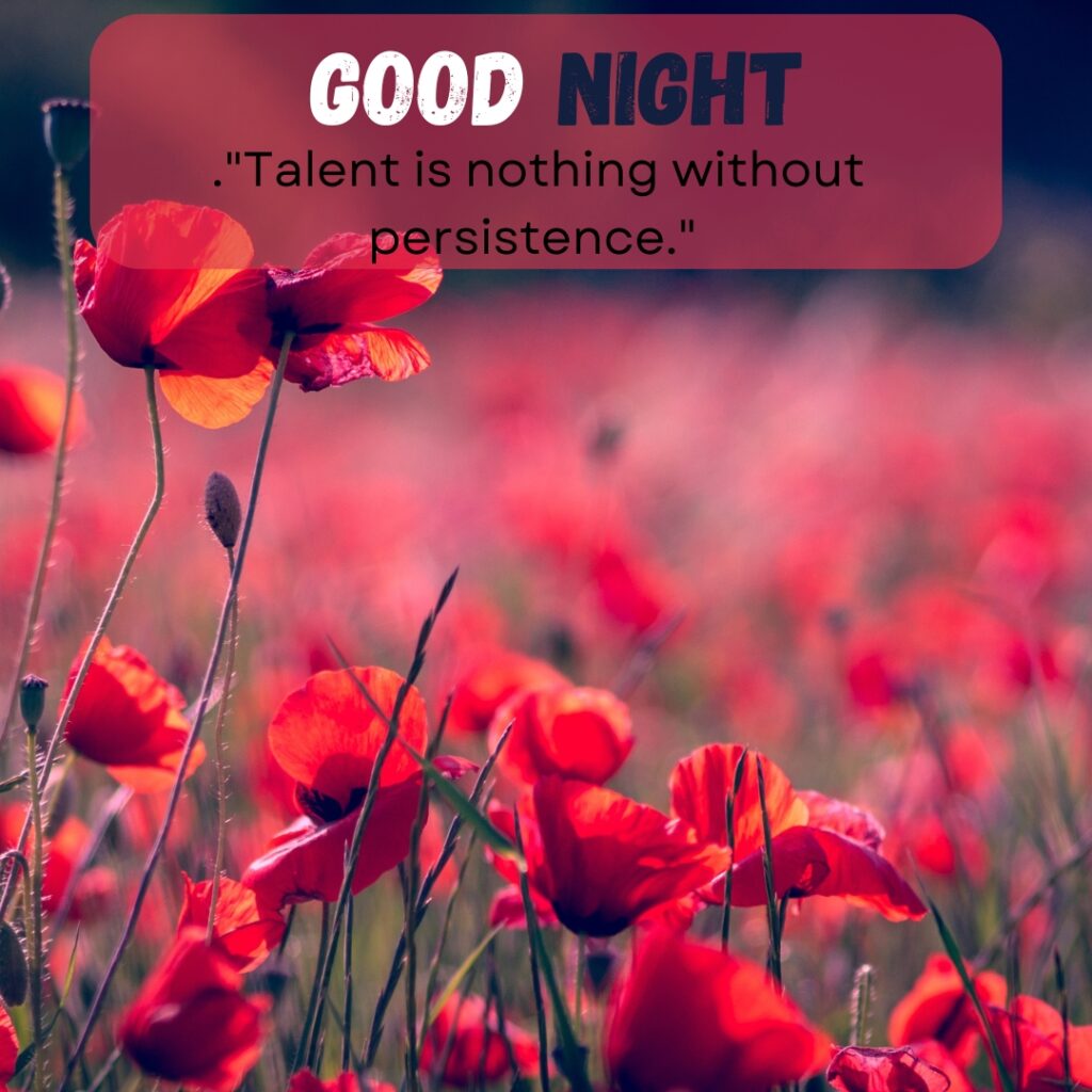 20+ Beautiful Good Night images with Quotes For WhatsApp