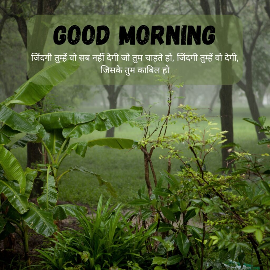 Beautiful GOOD MORNING images in hindi with quotes for WhatsApp