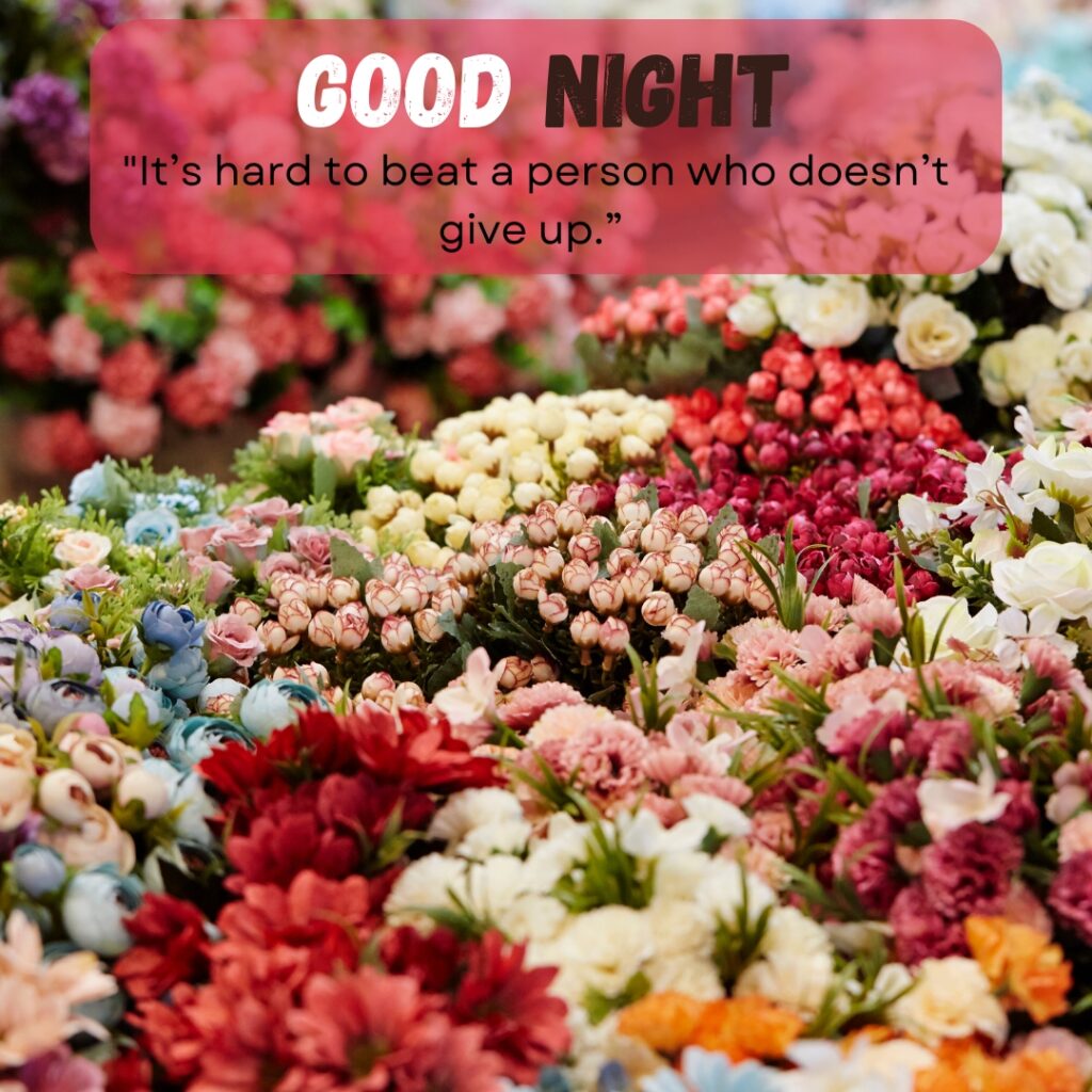 20+ Beautiful Good Night images with Quotes For WhatsApp