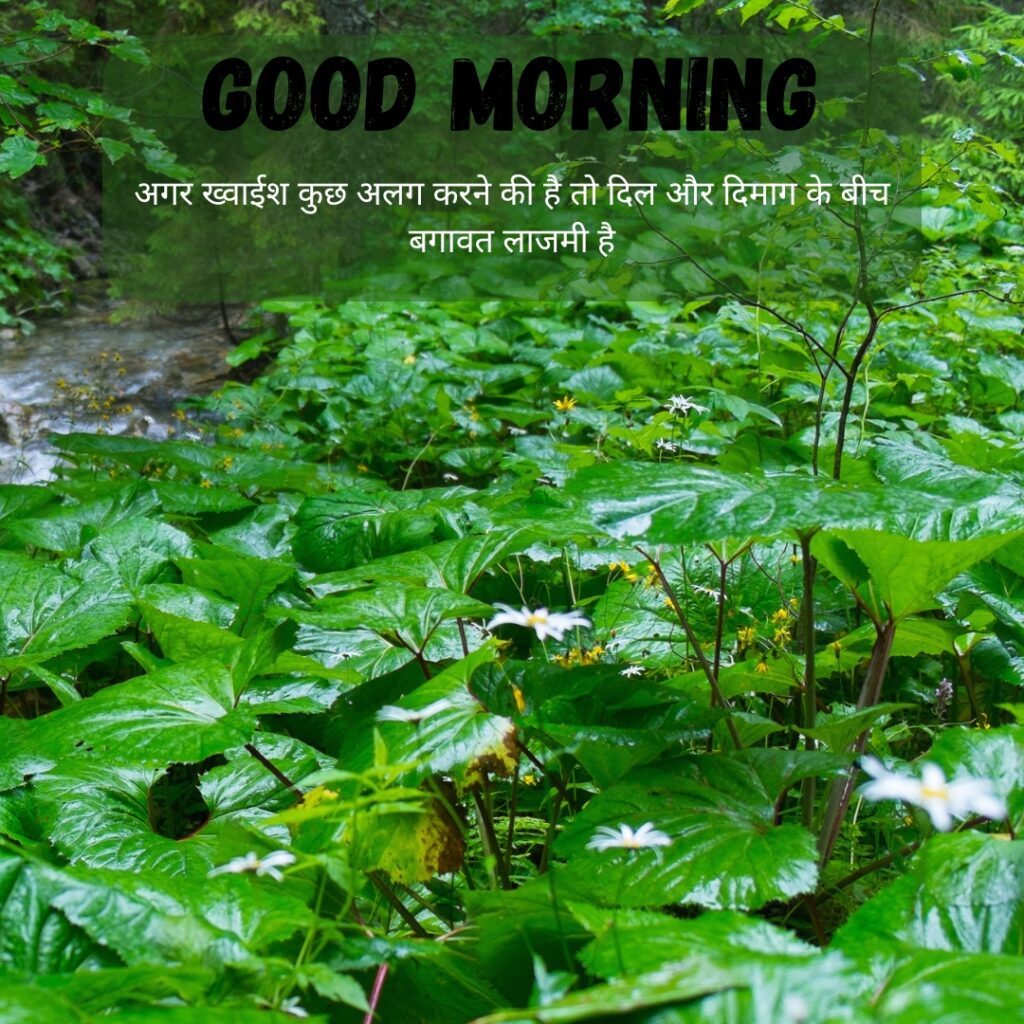 Beautiful GOOD MORNING images in hindi with quotes for WhatsApp