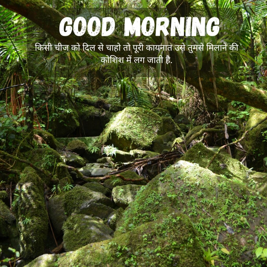 Beautiful GOOD MORNING images in hindi with quotes for WhatsApp