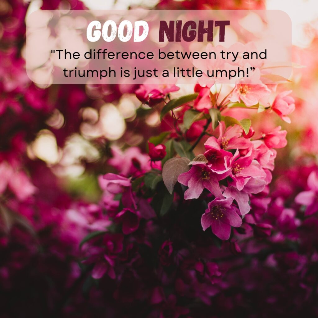 20+ Beautiful Good Night images with Quotes For WhatsApp