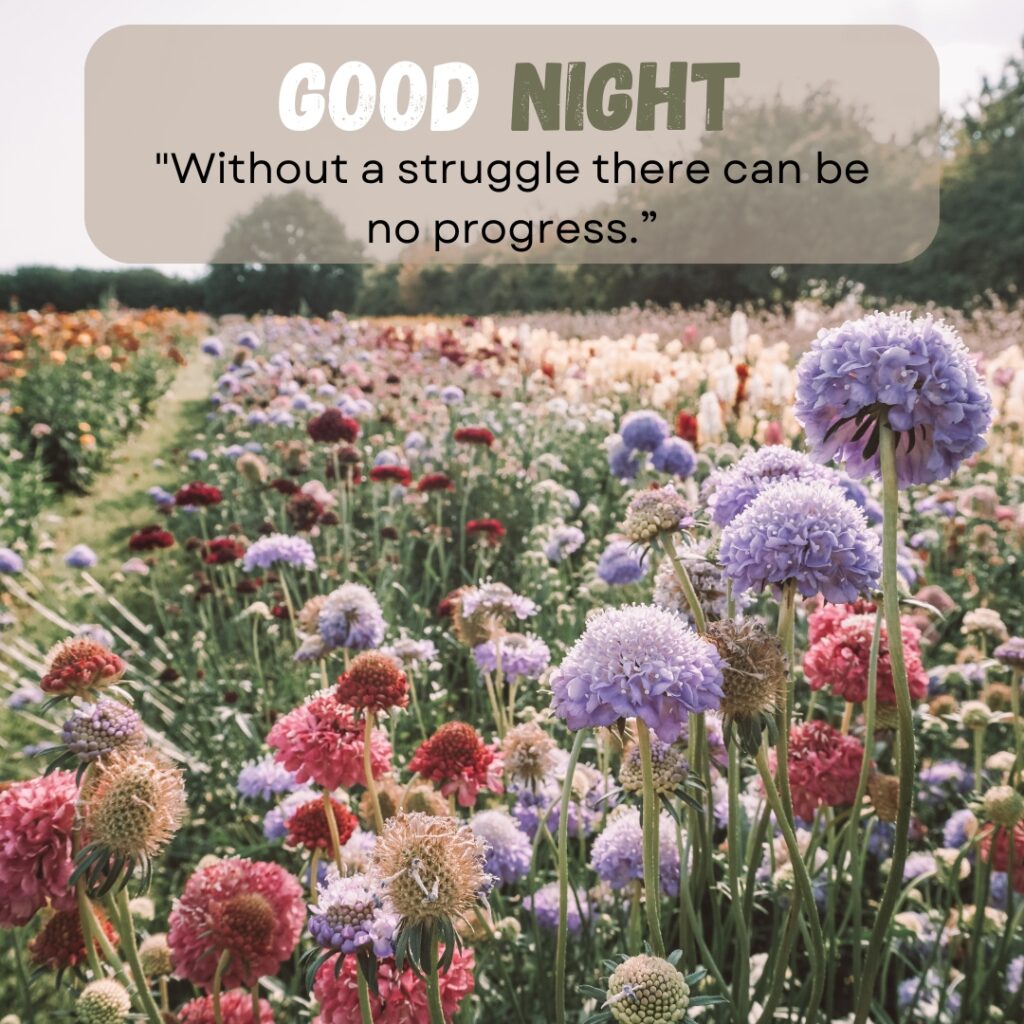 20+ Beautiful Good Night images with Quotes For WhatsApp