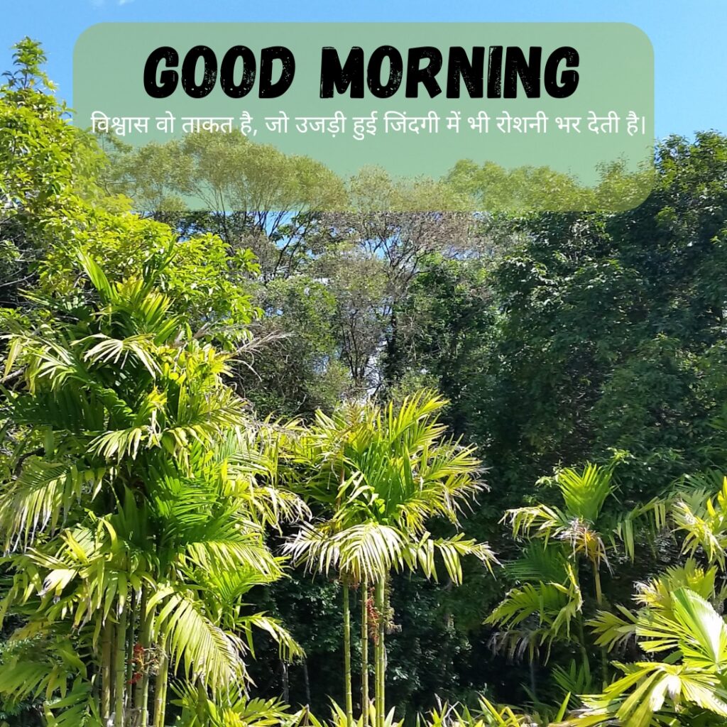 Beautiful GOOD MORNING images in hindi with quotes for WhatsApp