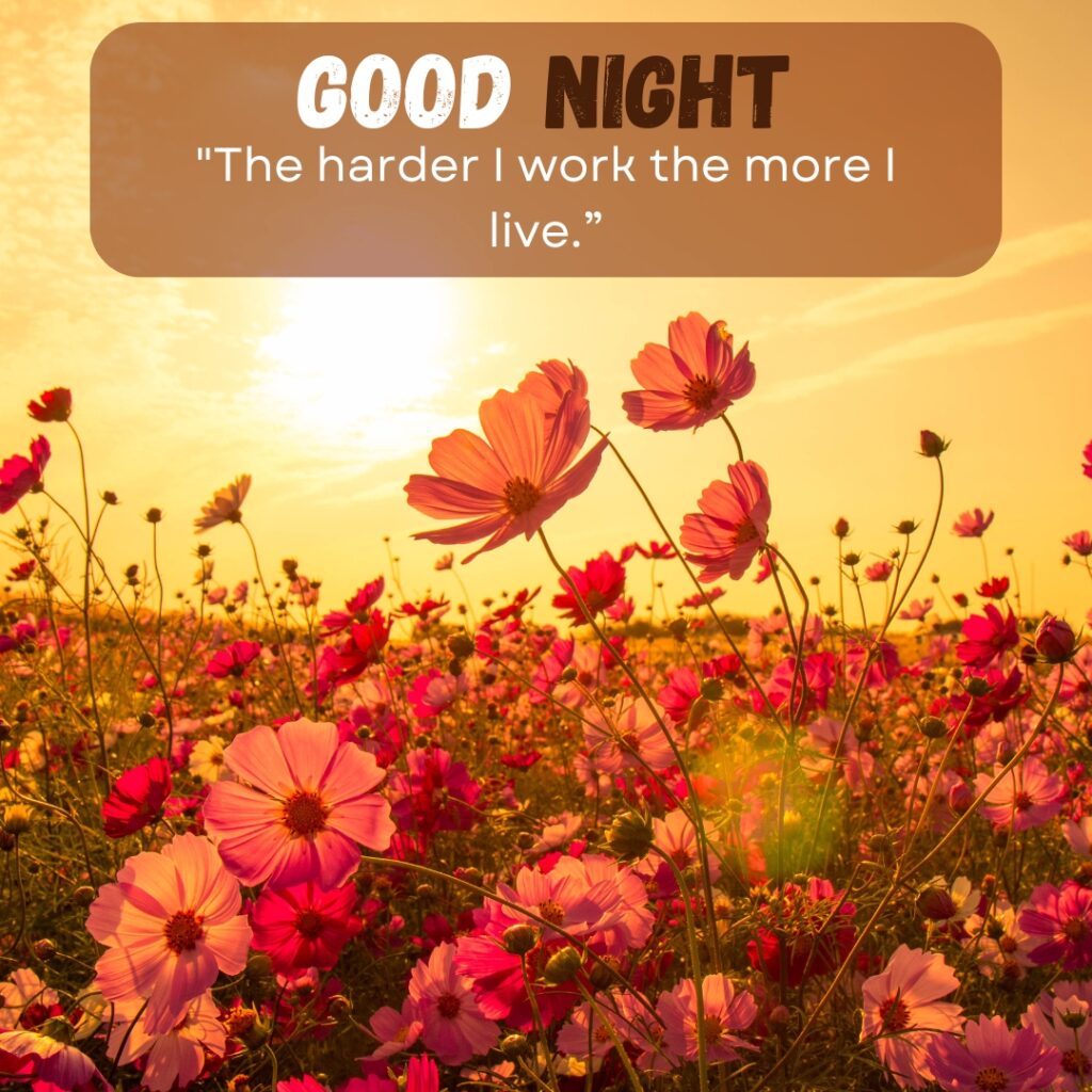 20+ Beautiful Good Night images with Quotes For WhatsApp