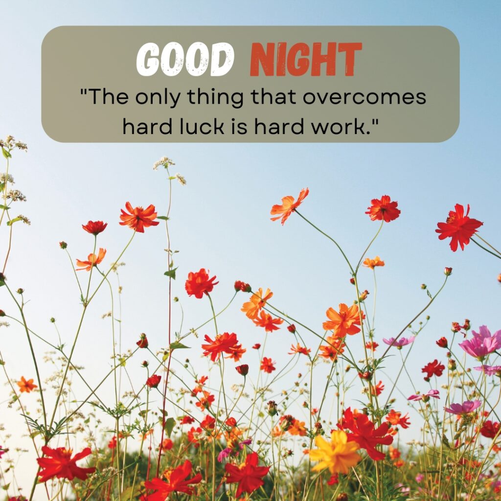 20+ Beautiful Good Night images with Quotes For WhatsApp