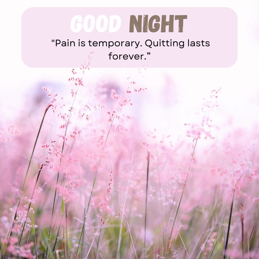 20+ Beautiful Good Night images with Quotes For WhatsApp