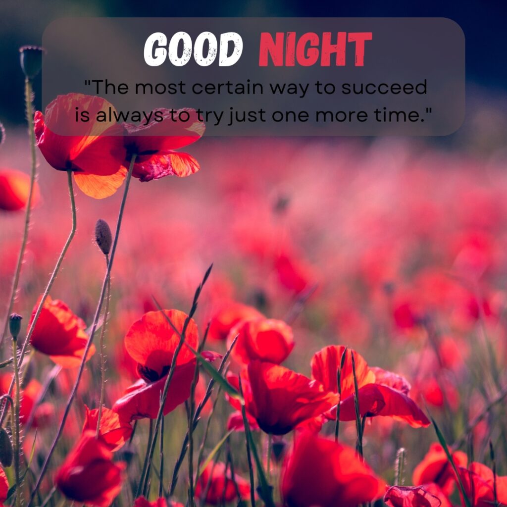 20+ Beautiful Good Night images with Quotes For WhatsApp