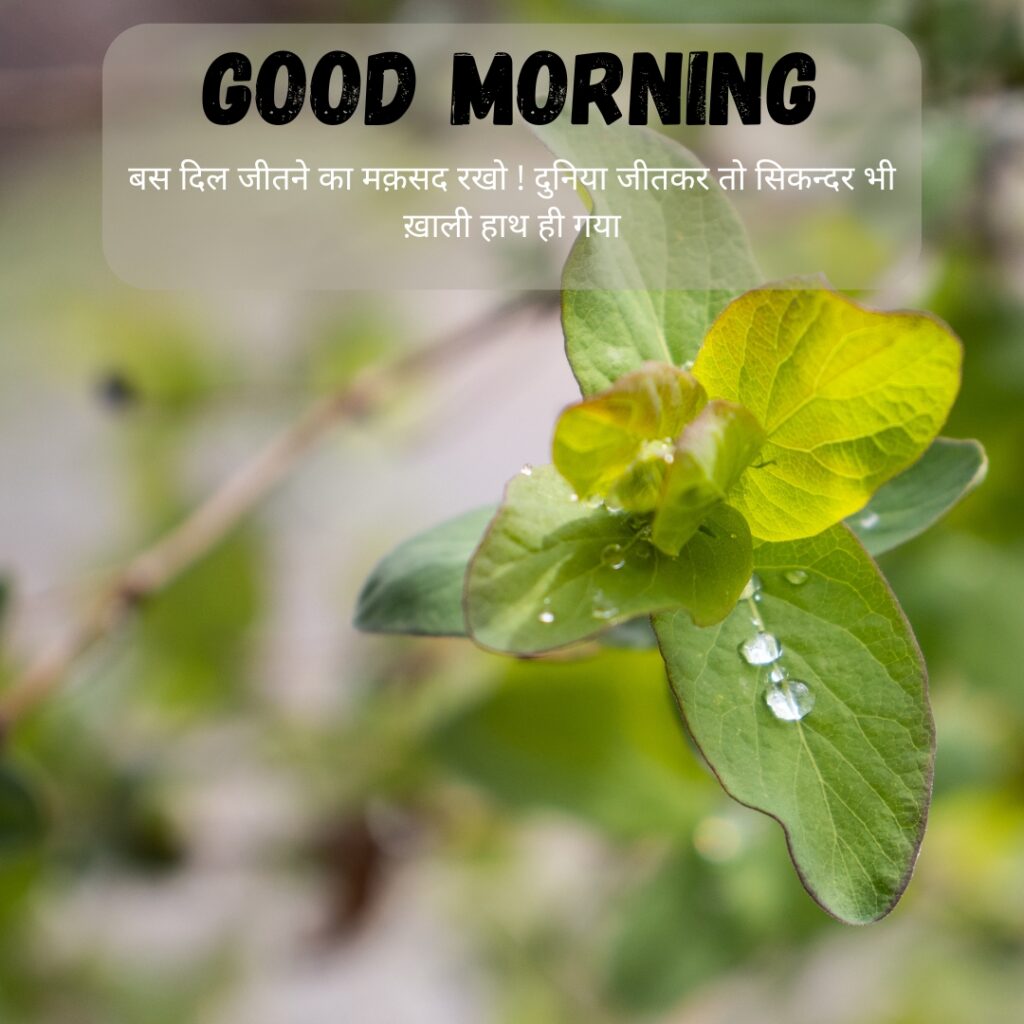 Beautiful GOOD MORNING images in hindi with quotes for WhatsApp